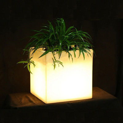 Vierkante PE Plastic verlichte LED ijs emmer / LED bloempot / bloemplant