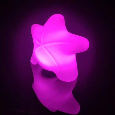 Herlaadbare led tuinhuis decoratieve zeesterrenlampen