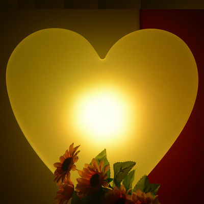 16 kleuren wisselende led gloeiende hart lampen